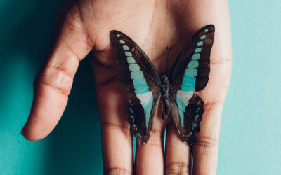 What’s making you fragile?