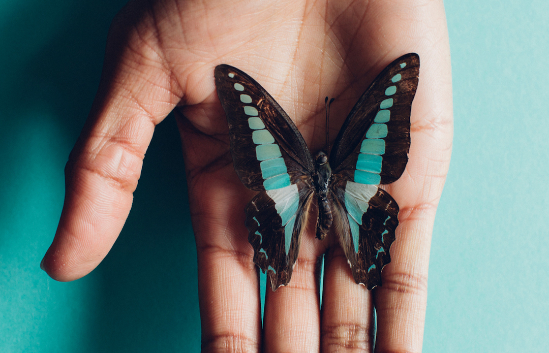 What's making you fragile? | dr Paige