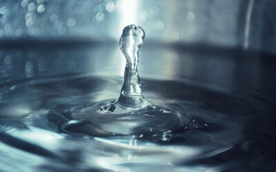 Can you embrace the ‘isness’ of now?