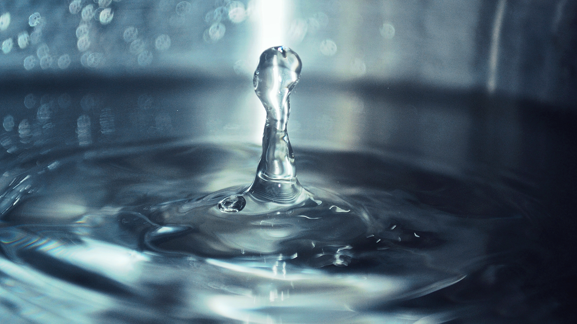 Can you embrace the ‘isness’ of now? | dr Paige