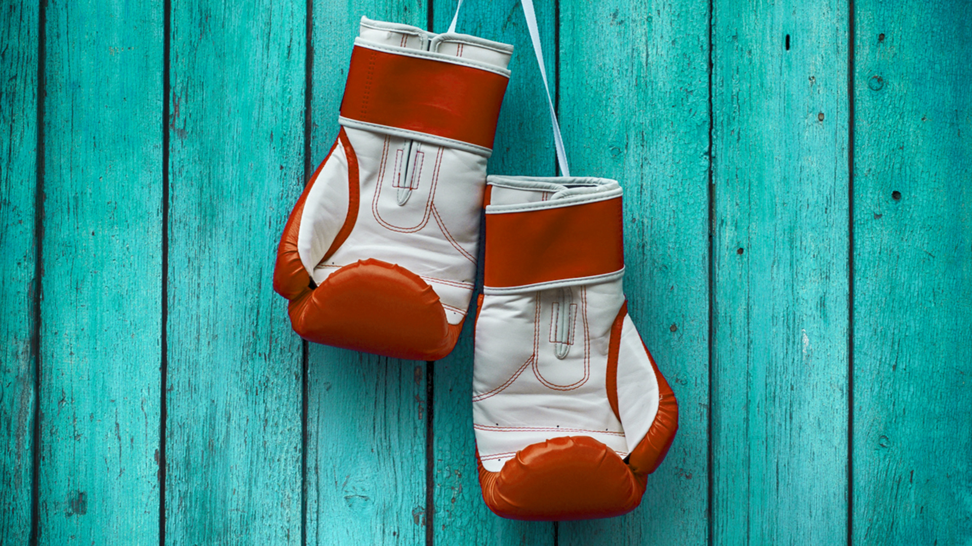 How to detox your senior leadership team | dr Paige