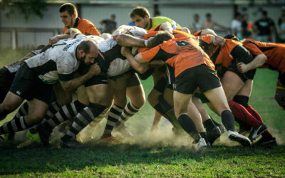 Do You Know What Drives High Performance?