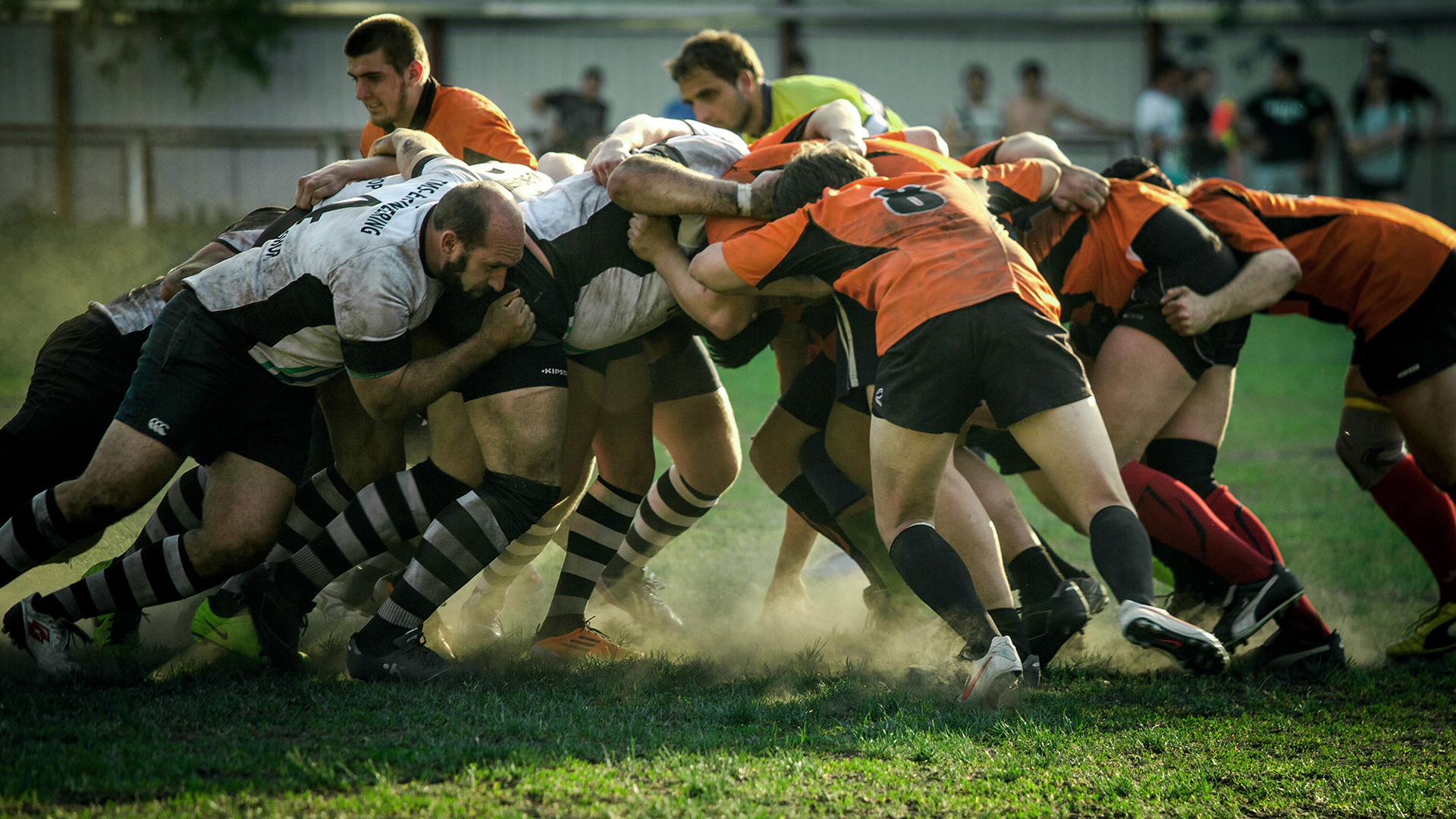 Do You Know What Drives High Performance? | dr Paige