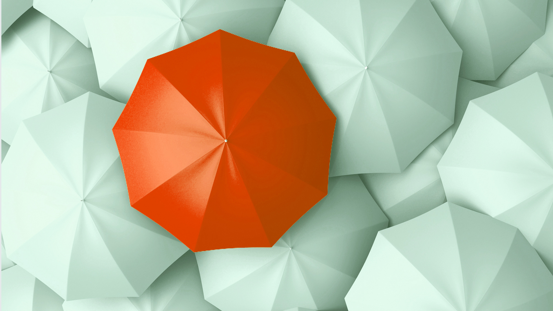 Does your team have a big personality? | dr Paige