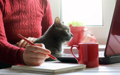 Can Accountability Culture Work From Home?