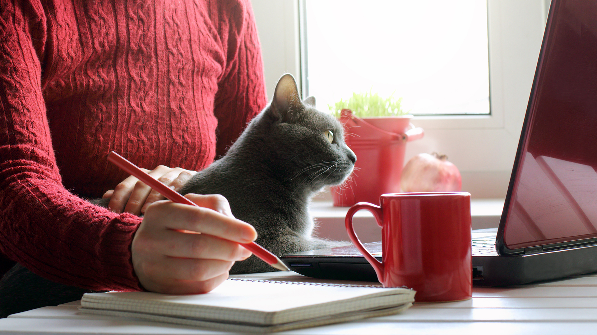 Accountability Culture Work from Home | dr Paige
